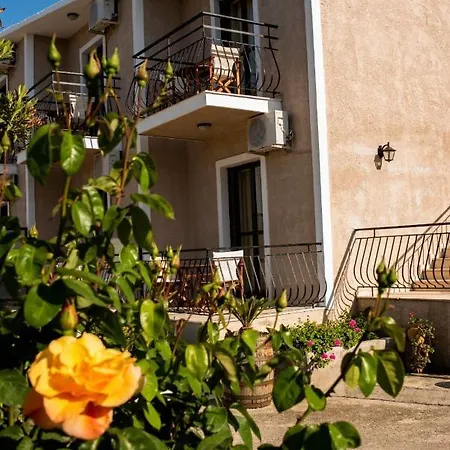 Apartman Sofia